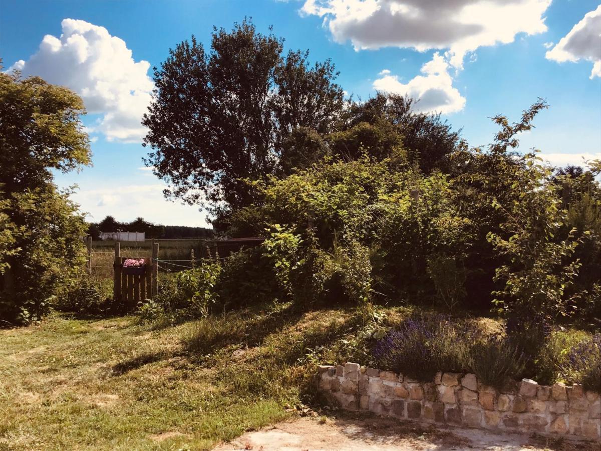 Le Chalet De La Ferme Du Tertre Villers-au-Tertre Cameră foto